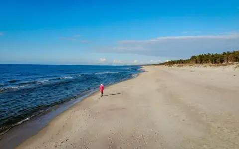 Samotna postać w różowym płaszczu spaceruje po piaszczystej plaży. W tle błękitne morze i sosnowy las, tworzące malowniczy krajobraz mierzei wiślanej.