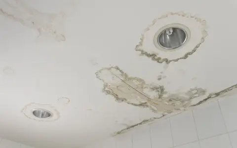 Manchas de humedad y moho en el techo, con focos empotrados. Si tengo goteras en el techo, ¿qué hago?