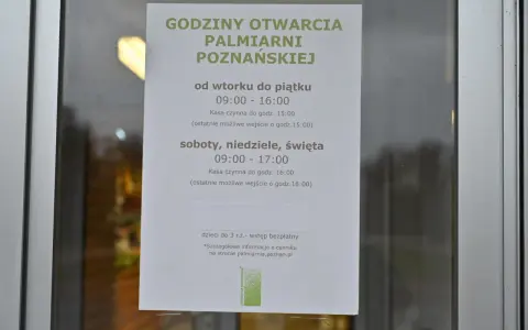 Godziny otwarcia Palmiarni Poznańskiej: wt-pt 9-16, sb-nd, święta 9-17. Sprawdź ceny biletów na stronie.