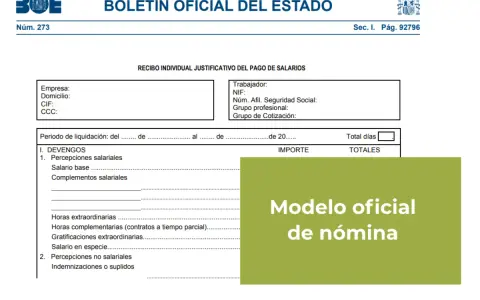 Modelo oficial de nómina del BOE. Detalla devengos, percepciones salariales y no salariales, horas extraordinarias y complementos.