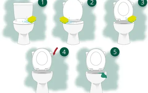 Schritt-für-Schritt-Anleitung, wie oft Toilette putzen: Schwamm mit Reinigungsmittel, Bürsten, Spülen, Abwischen.