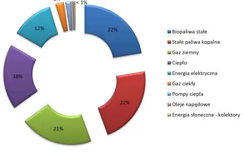 Wykres kołowy pokazuje podział energii: biopaliwa stałe (22%), ciepło (18%), gaz ziemny (21%), energia elektryczna (12%) i inne.
