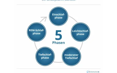 Der Schlafzyklus besteht aus 5 Phasen: Einschlaf-, Leichtschlaf-, Tiefschlaf-, moderater Tiefschlaf- und REM-Schlaf-Phase.