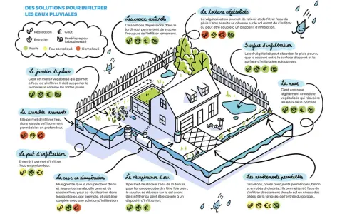 Illustration des solutions pour l'évacuation eau de pluie dans le jardin : jardin de pluie, tranchée drainante, puits d'infiltration, noue, toiture végétalisée.