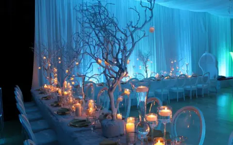 A long table set for an event with white chairs, candles, and white tree branches decorated with small lights.