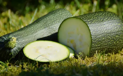 Här ligger färsk så zucchini på gräset, en hel och en delad, redo för köket.