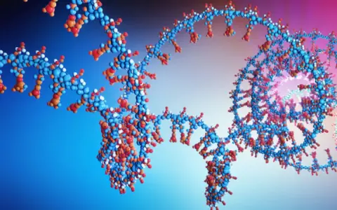Estructura molecular tridimensional de el arn, con esferas azules, rojas y blancas representando átomos en una doble hélice.