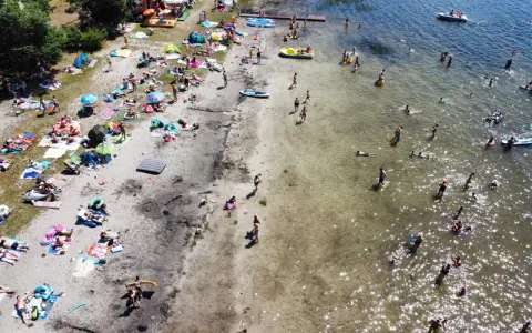 Tłoczna plaża nad jeziorem, ludzie opalają się, kąpią i pływają. Wakacyjny wypoczynek na **jeziorach lubelskich**.