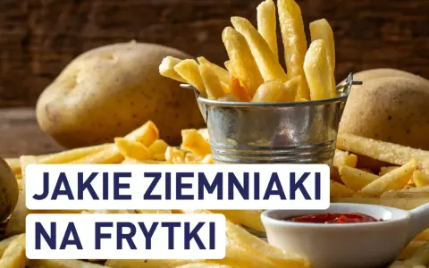 Ziemniaki na frytki belgijskie: Poznaj TOP odmiany i sekrety