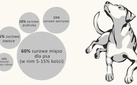 Ile surowego mięsa dla psa? Poznaj idealne proporcje dla zdrowia