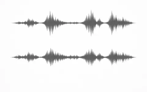 Dwa wykresy fal dźwiękowych pokazują duży **dynamic range** – od cichych fragmentów po głośne szczyty.