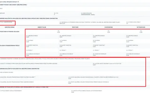 Czy na L4 można iść na pogrzeb? ZUS, kody i ryzyko