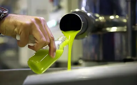 Aceite verde brillante se vierte en una botella. ¿Qué es el aceite lampante? Es un aceite de oliva virgen de baja calidad, no apto para el consumo directo.