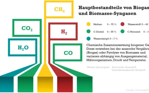 Grafik zeigt Hauptbestandteile von Biogas und Biomasse-Syngasen: CH4, CO2, H2O, H2, CO. Die biomasse produktion erklärt die chemische Zusammensetzung.