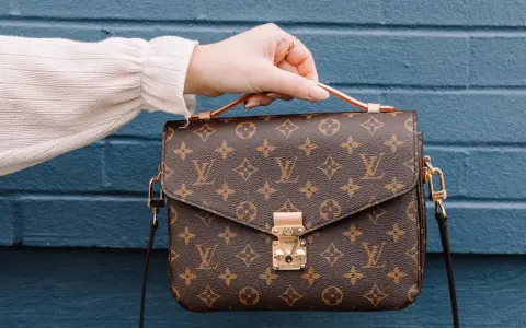 Una mano tiene una borsa Louis Vuitton con il classico monogramma. Un'icona di stile, che ci ricorda dove louis vuitton nasce: dalla maestria artigianale francese.