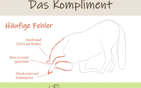 Illustration zeigt häufige Fehler beim Pferd Kompliment beibringen: Kopfstand, gestrecktes Bein, Zehenspitze.