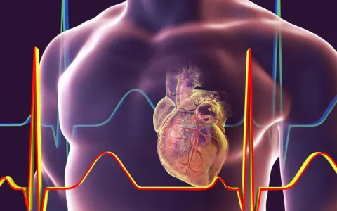 Anatomical serce na tle wykresów EKG i sylwetki człowieka.
