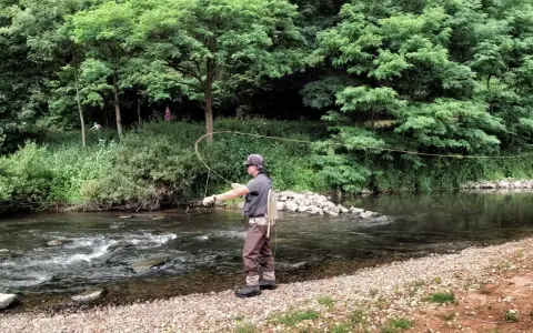 Ein Angler übt die fliegenfischen wurftechnik an einem Fluss. Die Schnur bildet einen eleganten Bogen in der Luft.