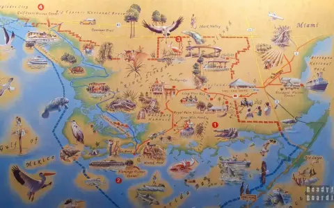 Mapa turystyczna Everglades z zaznaczonymi atrakcjami, zwierzętami i szlakami.