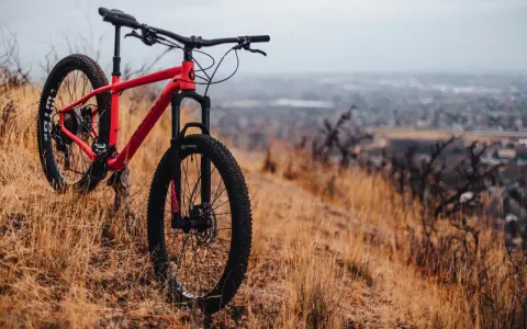 A red hardtail bike meaning adventure, rests on a dry, grassy hillside overlooking a hazy city.