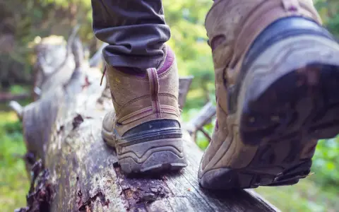 Idąc po powalonym drzewie, zastanawiasz się, czy buty trekkingowe powinny być większe, by zapewnić lepszą przyczepność i komfort.