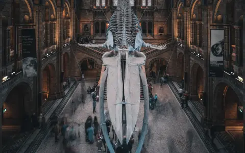 Londra gratis: Musei, parchi e attrazioni imperdibili a costo zero