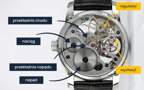 Widok mechanizmu zegarka z zaznaczonymi elementami: naciąg, przekładnia napędu, przekładnia chodu, regulator i wychwyt.