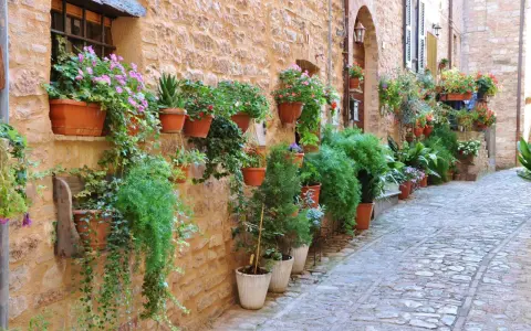 Un vicolo fiorito in Umbria, perfetto per scoprire cosa vedere in Umbria in 4 giorni.