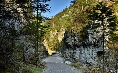 Kamienna ścieżka prowadzi przez wąwóz, przez drewniane mostki. Piękna zakopane trasa w otoczeniu gór i lasu.