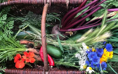 Korb mit frischem Gemüse: Rote Bete, Karotten, Zucchini, Kräuter und bunte Blumen.