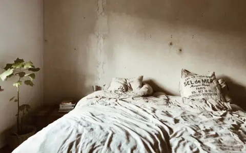 Cama desordenada con manchas de humedad en la pared, indicando las consecuencias de dormir en un colchón con moho. Una planta en maceta y libros añaden un toque hogareño.