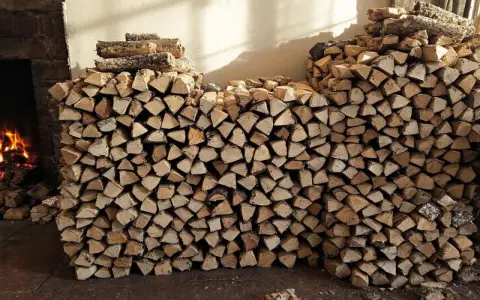 Gros tas de bois de chauffage empilés, prêts à être utilisés dans la cheminée. L'image montre une grande quantité de bois coupé, parfait pour stocker le bois de chauffage.