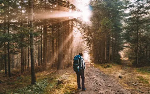 Osoba z plecakiem na szlaku w lesie. Promienie słońca przebijają się przez drzewa, tworząc magiczną atmosferę podczas spaceru w górach.
