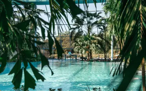 Tropisches Paradies zum **Schwimmen in NRW**. Palmen und türkisfarbenes Wasser unter einem Glasdach.