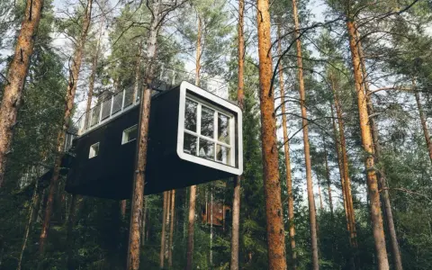 Modern tree hotel i en svensk skog. En svart kubformad byggnad med stora fönster hänger mellan trädstammarna.