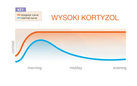 Wysoki kortyzol? Rozpoznaj objawy i obniż go naturalnie!