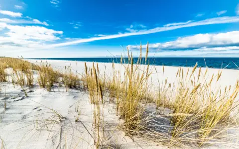 Piasek, trawy morskie i błękitne niebo nad Bałtykiem – to jedne z najpiękniejszych plaż w Polsce.