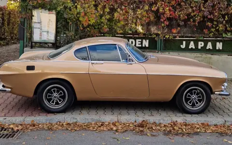 Klasyczny Volvo P1800 w kolorze złotym, zaparkowany na tle jesiennych liści i zielonego płotu z napisem "JAPAN".