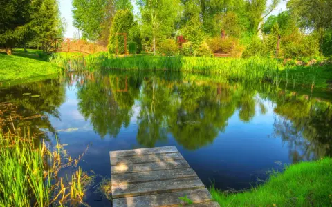 Drewniany pomost nad spokojnym stawem, otoczonym bujną zielenią i drzewami. Idealne miejsce na relaks po budowie stawu.