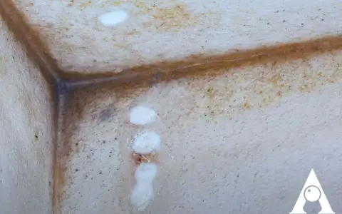 Angoli di un muro con evidenti macchie e aloni, segni di diversi tipi di muffa sui muri.