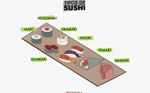 Ilustración de varios tipos de sushi: hosomaki, maki, uramaki, nigiri, gunkan, temaki y sashimi.