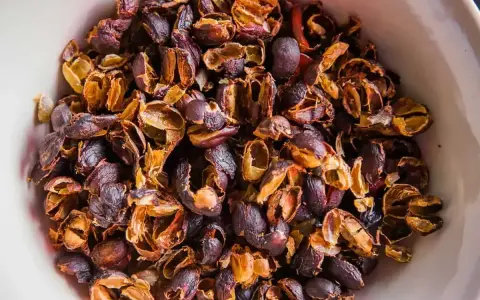 Suszone skórki kawy, czyli cascara. To produkt uboczny procesu produkcji kawy, który można zaparzyć jak herbatę.