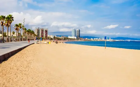 Słoneczna barcelona plaża z palmami i nowoczesnymi budynkami w tle.