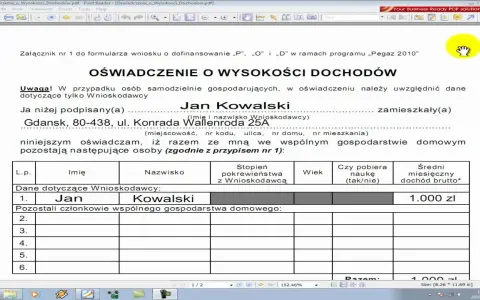 Oświadczenie o dochodach: jak wypełnić bez błędów?
