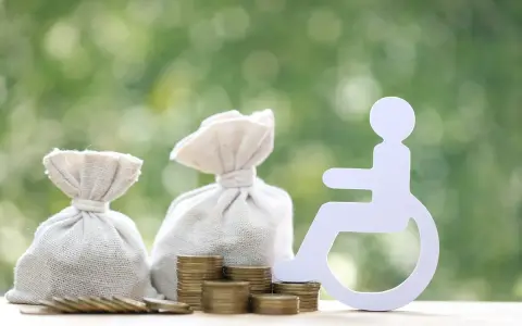 Symbol osoby na wózku obok worków z pieniędzmi i monet. Tabela świadczenie wspierające 2026.