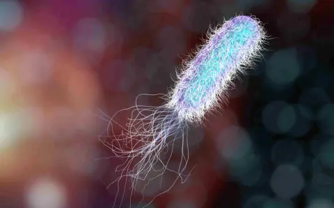 Un batterio Pseudomonas aeruginosa, con i suoi flagelli, è un nemico da eliminare per la salute.