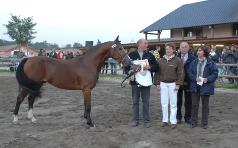 Un cheval brun primé, avec le numéro 318, est présenté par un homme tenant un trophée. Derrière eux, des spectateurs et des juges se tiennent près d'un bâtiment, formant des monceaux d'admiration.