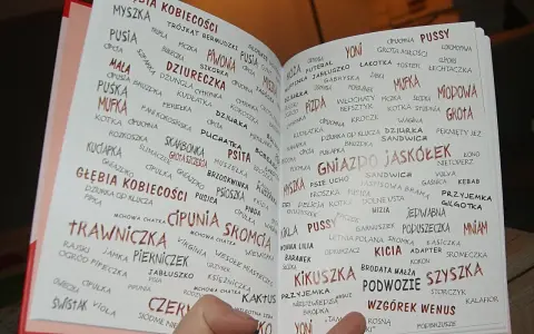 Wielka księga cipek: od "myszki" po "wzgórek wenus", zbiór zabawnych określeń kobiecych.