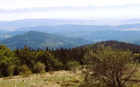 Widok z górskiej hali krupowej na zalesione wzgórza i odległe Tatry.