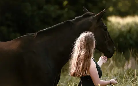 Jeździectwo naturalne: odkryj sekret harmonii z Twoim koniem